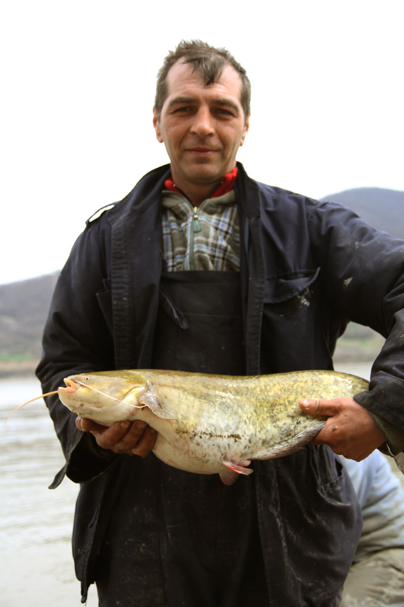 Sascha